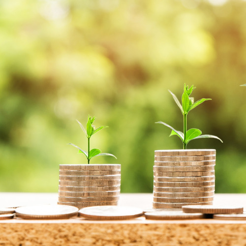 pile of coins sprouting a plant, referring to growing money